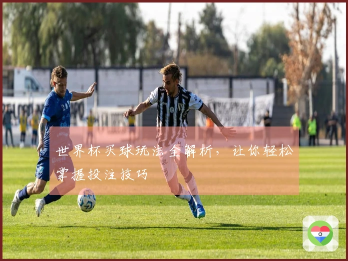 世界杯买球玩法全解析，让你轻松掌握投注技巧