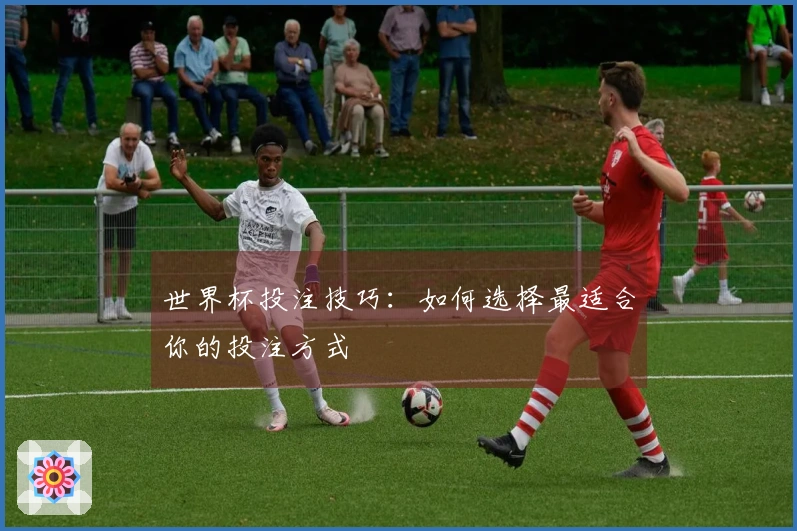 世界杯投注技巧：如何选择最适合你的投注方式