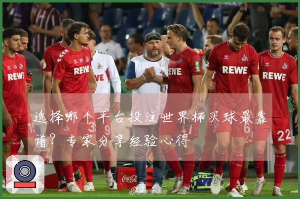 选择哪个平台投注世界杯买球最靠谱？专家分享经验心得