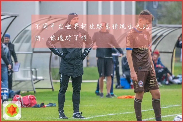 不同平台世界杯让球竞猜玩法大比拼，你选对了吗