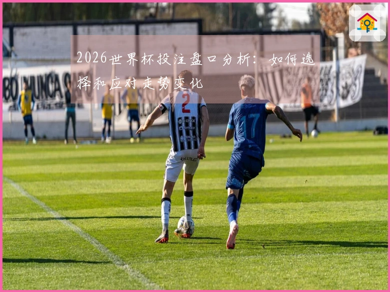 2026世界杯投注盘口分析：如何选择和应对走势变化