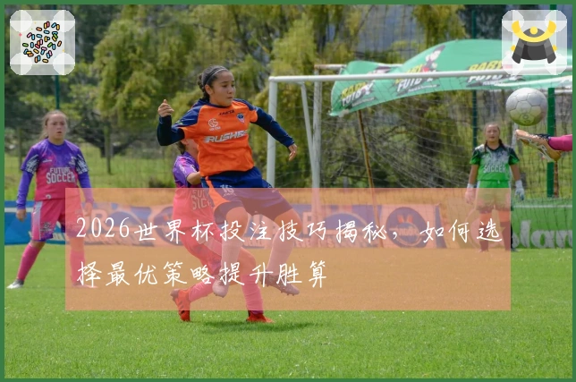 2026世界杯投注技巧揭秘，如何选择最优策略提升胜算