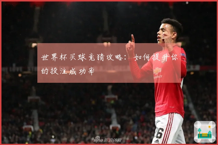 世界杯买球竞猜攻略：如何提升你的投注成功率