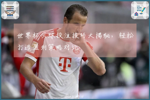 世界杯买球投注技巧大揭秘，轻松打造盈利策略对比