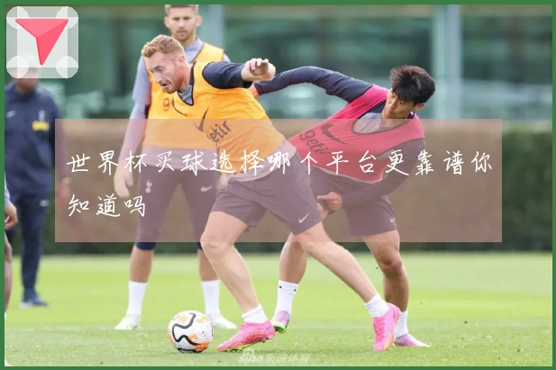 世界杯买球选择哪个平台更靠谱你知道吗