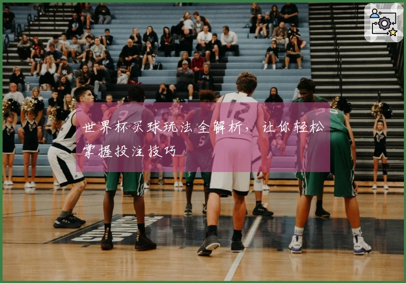 世界杯买球玩法全解析，让你轻松掌握投注技巧