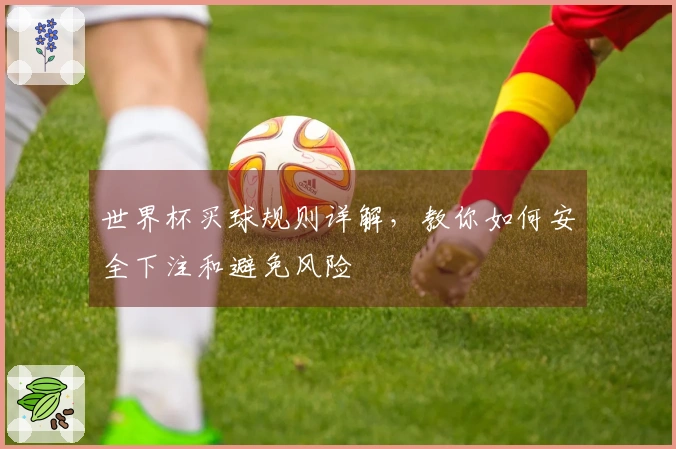 世界杯买球规则详解，教你如何安全下注和避免风险