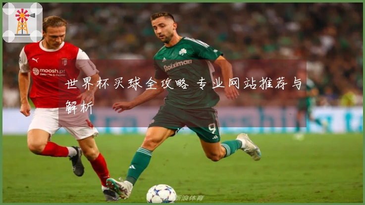 世界杯买球全攻略 专业网站推荐与解析
