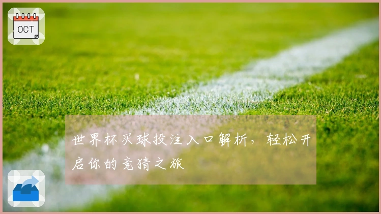 世界杯买球投注入口解析，轻松开启你的竞猜之旅