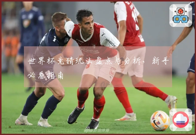 世界杯竞猜玩法盘点与分析，新手必看指南