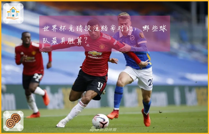 世界杯竞猜投注赔率对比，哪些球队最具胜算？