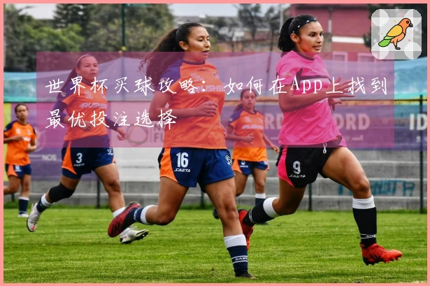 世界杯买球攻略：如何在App上找到最优投注选择
