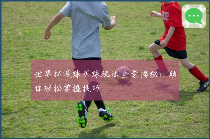 世界杯滚球买球玩法全景揭秘，助你轻松掌握技巧