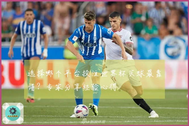 选择哪个平台投注世界杯买球最靠谱？专家分享经验心得