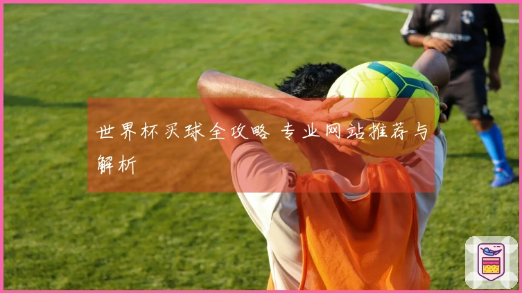 世界杯买球全攻略 专业网站推荐与解析
