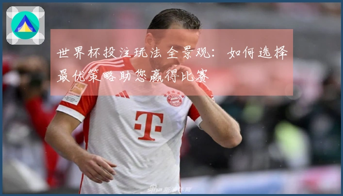 世界杯投注玩法全景观：如何选择最优策略助您赢得比赛