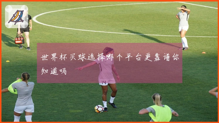 世界杯买球选择哪个平台更靠谱你知道吗