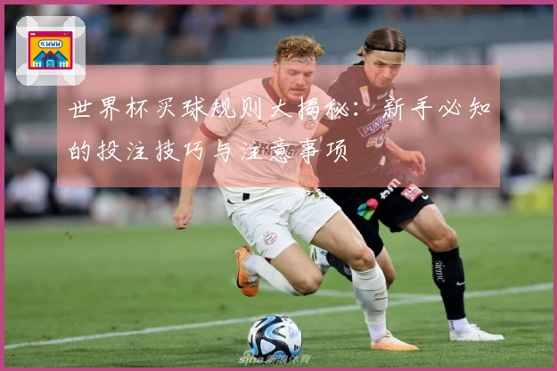 世界杯买球规则大揭秘：新手必知的投注技巧与注意事项